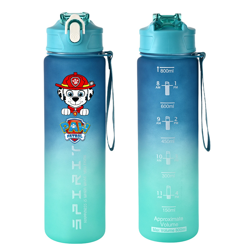 800ml PAW Patrol Sports Water  - Tech Home Accessories avaliação e preço