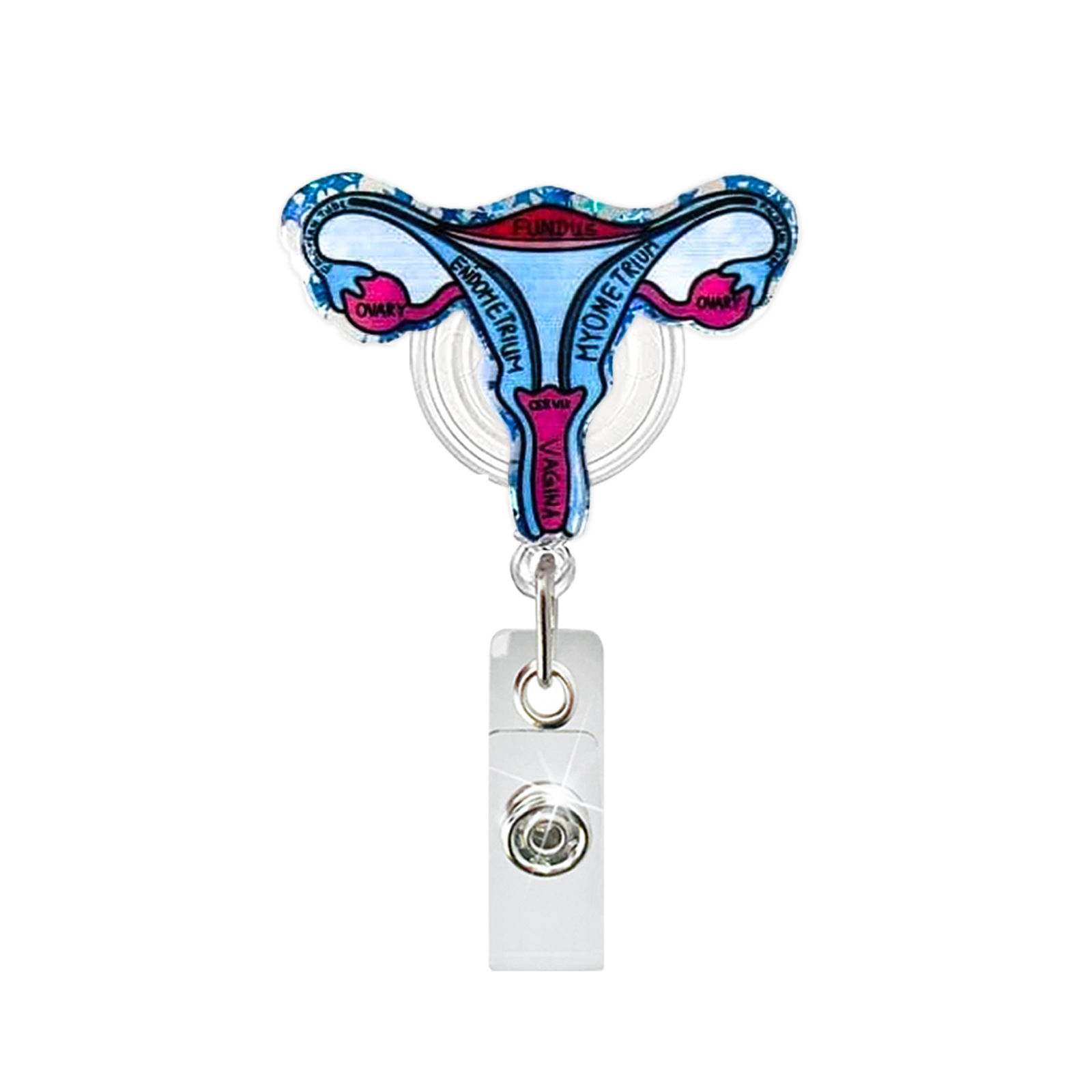 Acrylic Heart Lung Brain Kidne - Xray Tech Accessories avaliação e preço